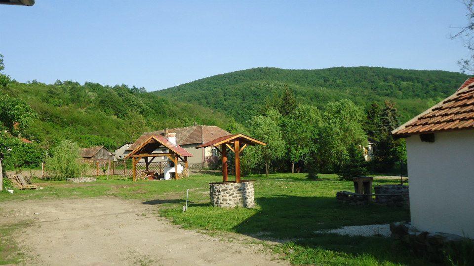 Toldi Vendeghaz Otel Felsőtold Dış mekan fotoğraf